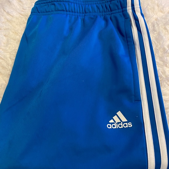 bluebird adidas pants
